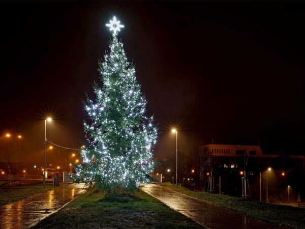 fenydekoraciok-varosok-kozsegek-bevasarlokozpontok-szamara (174)