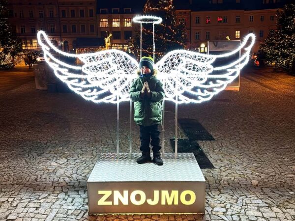 fenydekoraciok-varosok-kozsegek-bevasarlokozpontok-szamara (191)