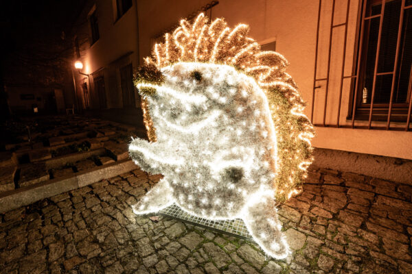 Vypečené vánoce – 20. 12.